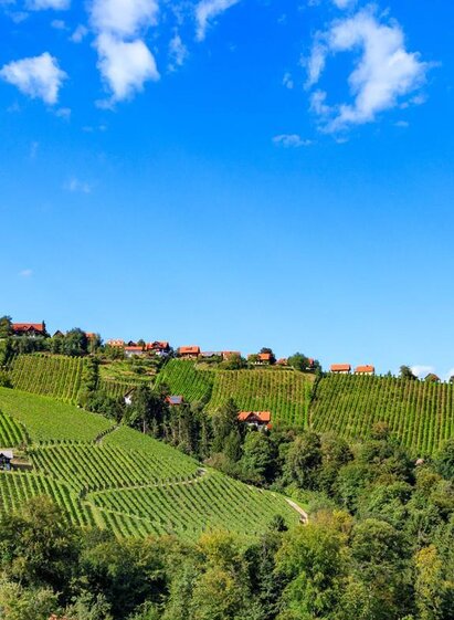 Hochgrail | © TV Schilcherland Steiermark, Foto Augenblick