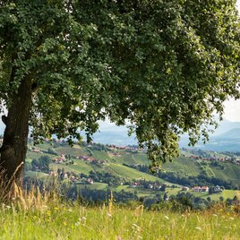 Hochgrail 9 Plätze, 9 Schätze | © ORF Schoettl (4)