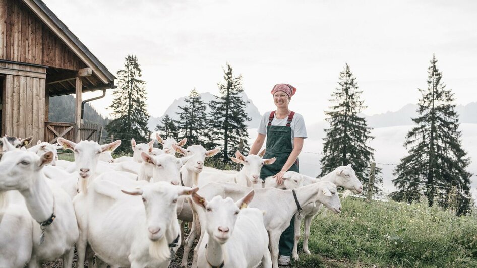 Die Grabnerhof-Ziegen auf der Grabneralm | © Stefan Leitner