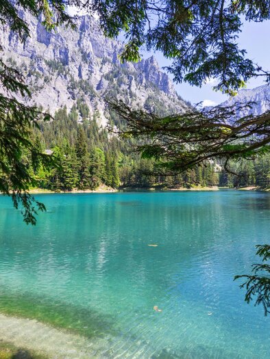 Grüner See
