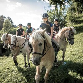 Reiten am Haflingerhof | © Stefan Leitner