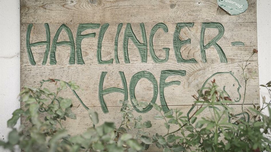 Willkommen am Haflingerhof! | © Stefan Leitner