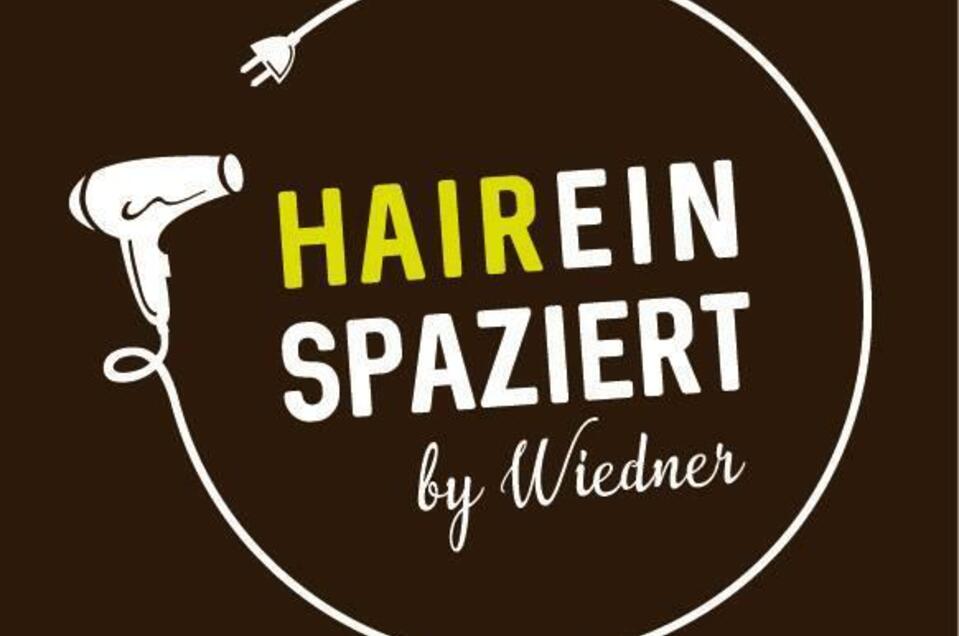 HAIReinspaziert by Wiedner - Impression #1
