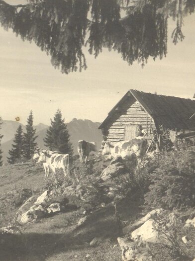 Krennalm