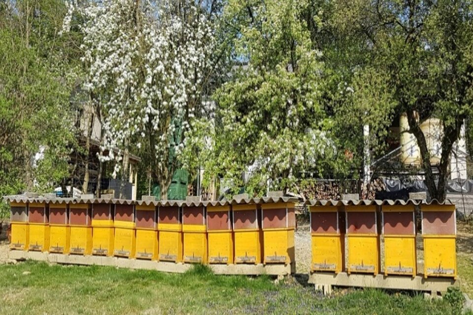 Baier Beekeeping in Gnas - Impression #1 | © Imkerei Baier