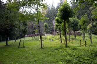 Keltischer Baumkreis | © Schilcherland Steiermark