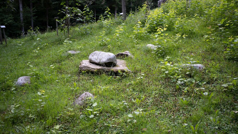 Mitten in der Natur | © Schilcherland Steiermark