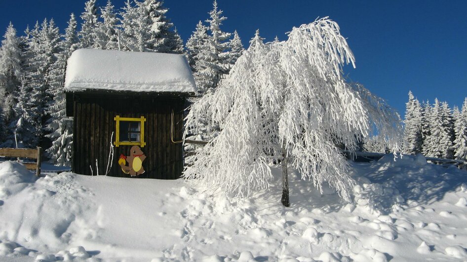 Lifthäuschen in herrlicher Winterlandschaft | © Klug-Lifte