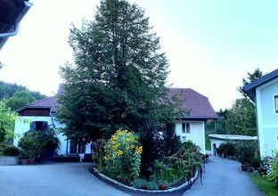 Krennmühle Hof