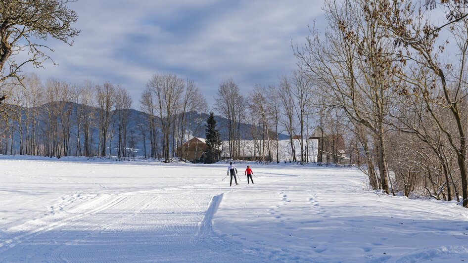 langlaufen-winter-seckau-skating-murtal-steiermark | © Anita Fössl