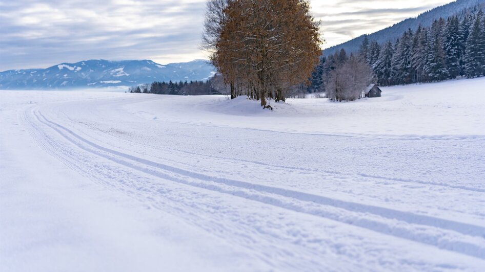 Loipe-Langlaufen-Seckau-Winter-murtal-steiermark-c | © Anita Fössl