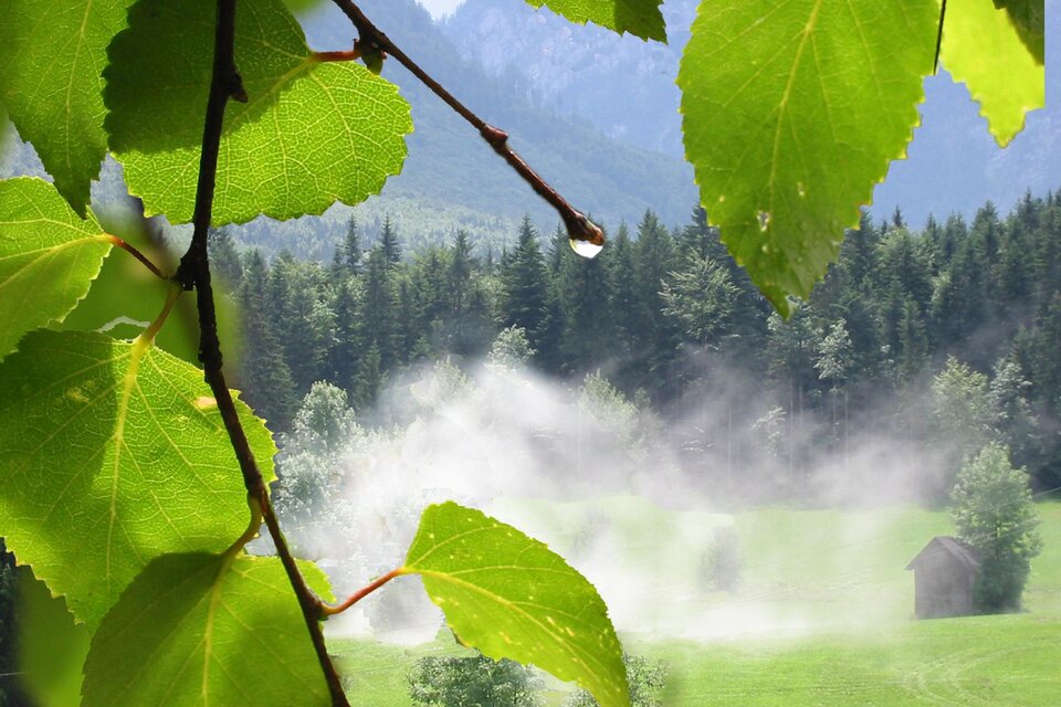 Martina´s Fußkultur - Impression #1 | © TVB Ausseerland - Salzkammergut_Eva Griese