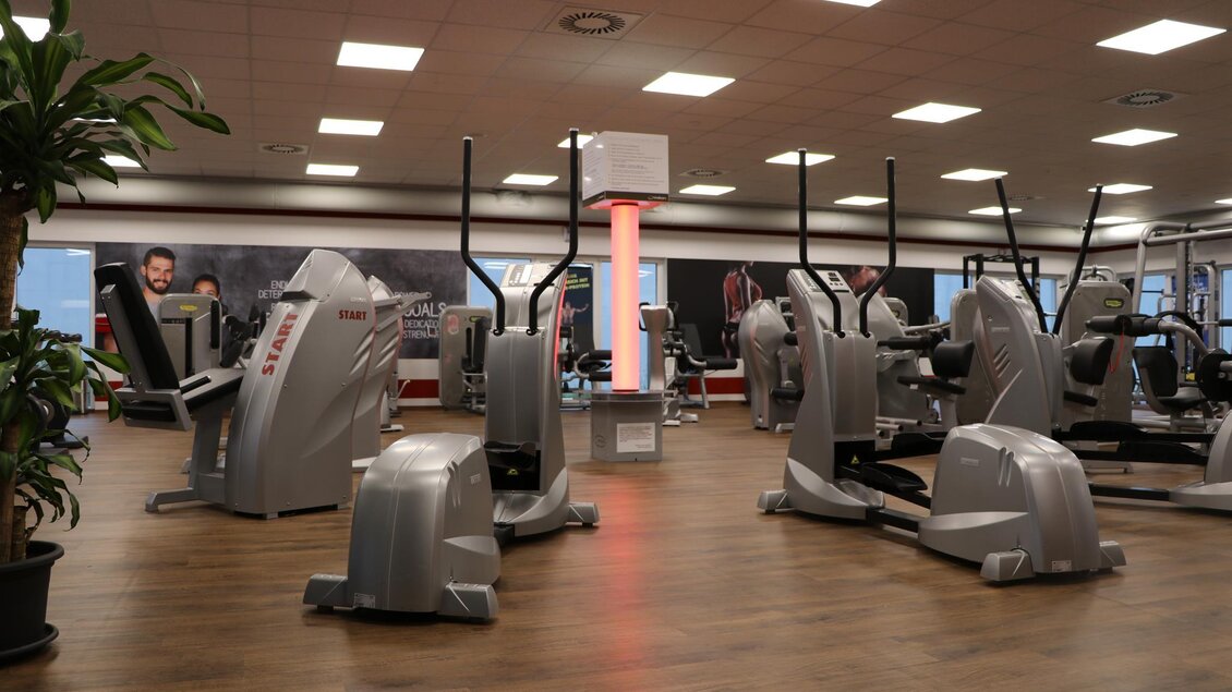 Ein modernes Fitnessstudio mit verschiedenen Trainingsgeräten. Der Raum ist hell und freundlich gestaltet, mit Holzboden und Pflanzen. | © Daniel Schreiber