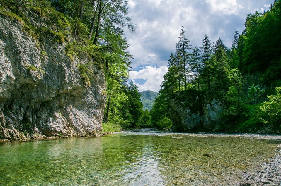 Wasser und Wald im Naturpark | © Naturpark Mürzer Oberland
