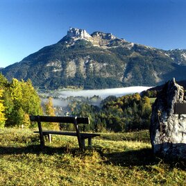 Nikolaus-Lenau-Huegel | © TVB Ausseerland - Salzkammergut/Pirker