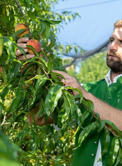 Obstbau Boden | © GlaMUR – Genuss am Fluss, Ulrike Korntheuer