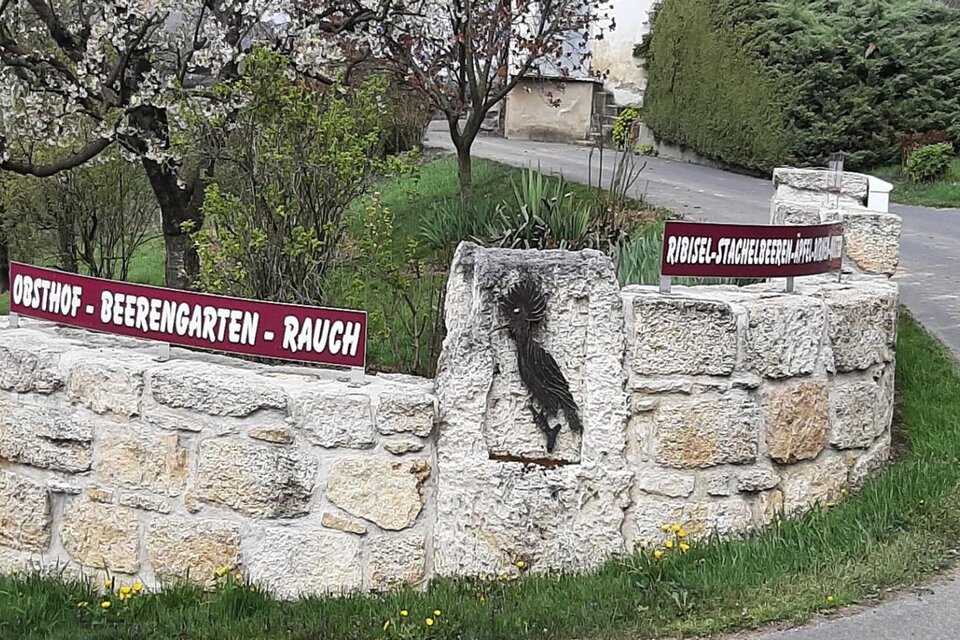 Obsthof Rauch in Gnas - Impression #1 | © Obsthof Rauch