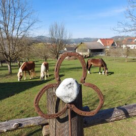 Pferdehof Decker | © Pferdehof Decker