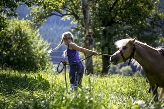 Pferde | © Steiermark Tourismus, ikarus.cc