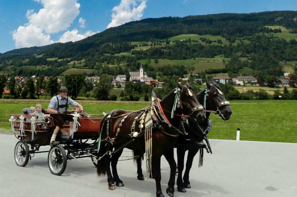 Pferdeschlitten- & Kutschenfahrten - Impression #1 | © Norikerzucht Putzenbacher