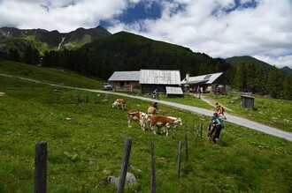 Scheiblalm-Hohentauern-Murtal-Steiermark | © Erlebnisregion Murtal
