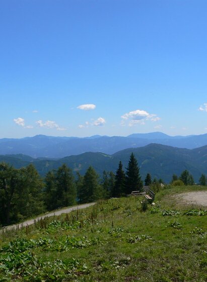 Schießlingalm Straße