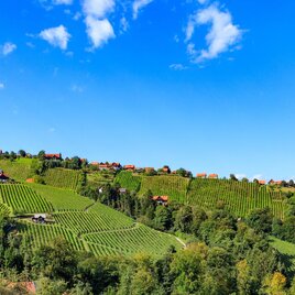Hochgrail | © Schilcherland Steiermark