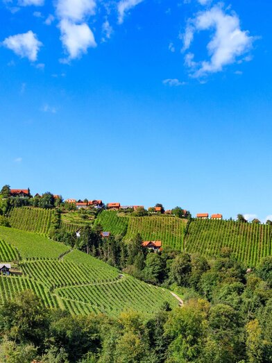 Hochgrail | © Schilcherland Steiermark