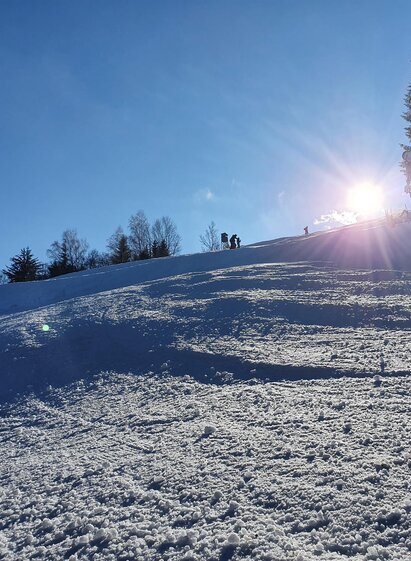 Skifahren