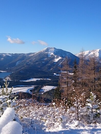 Ausblick von der Mariazeller Bürgeralpe | © TV Hochsteiermark | Brigitte Digruber