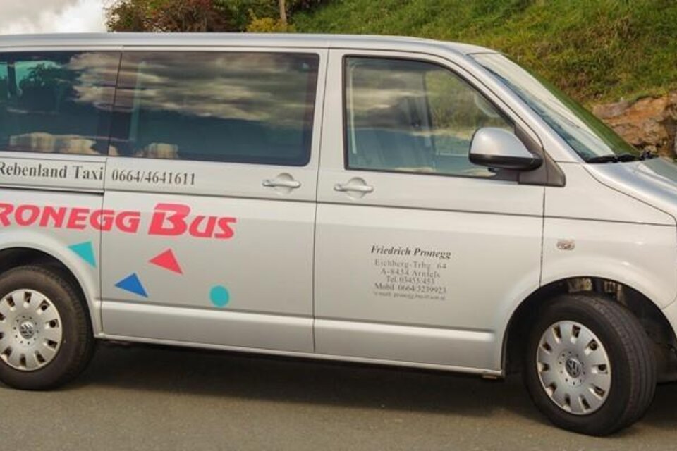 Taxi Pronegg - Impression #1