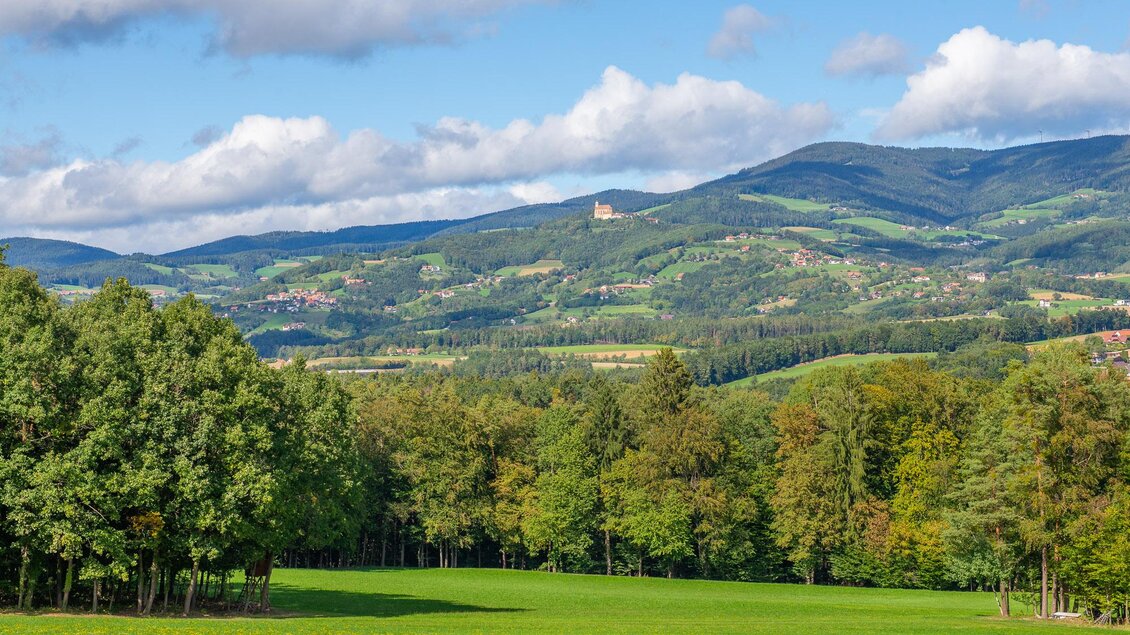 Eine malerische Landschaft mit grünen Wiesen und sanften Hügeln. Im Hintergrund sind Wälder und ein Schloss zu sehen, unter einem blauen Himmel mit ein paar Wolken. | © Helmut Schweighofer