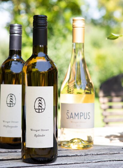 Biowein-Dorner | © GlaMUR-Genuss am Fluss, Ulrike Korntheuer