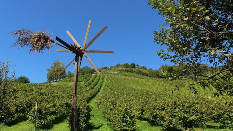 Die Weingärten in Sulz | © Buschenschank Mahler