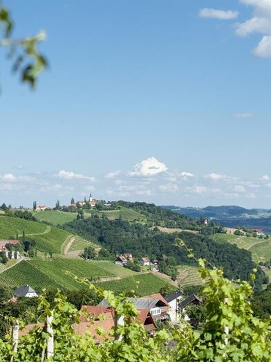 Lage mittem im Weinberg | © Karin Bergmann | © Karin Bergmann