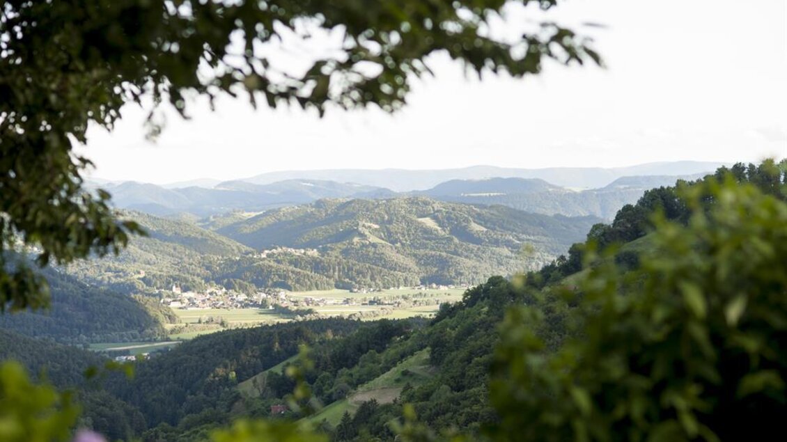 Aussicht vom Sitzgarten | © Karin Bergamann