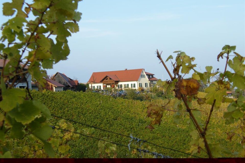Weingut Strohmeier vlg. Trobi - Impression #1 | © Weingut Strohmeier Trobi