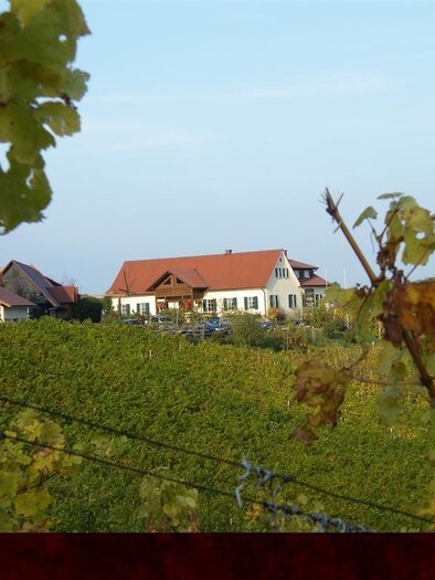 Weingut Stromeier Trobi | © Weingut Strohmeier Trobi
