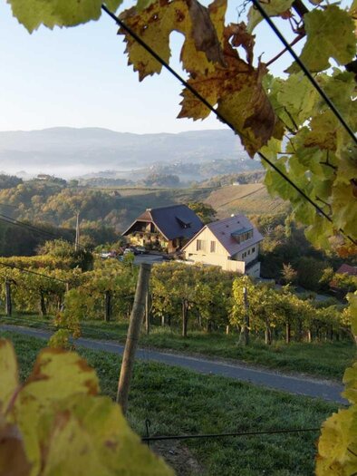 Weinidylle Dreisiebner Weingarten | © Weinidylle Dreisiebner