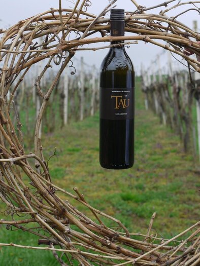Wein 1 | © Fam. Gollmann
