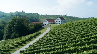 Weinschmiede Weingarten Weinland | © Weinschmiede Strauss