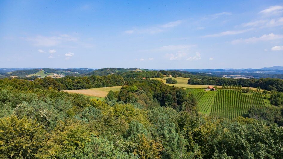 Blick von der Weinwarte | © Region Bad Gleichenberg/Werner Krug