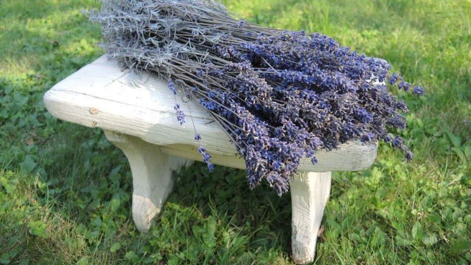 Lavendel | © Doris Maier