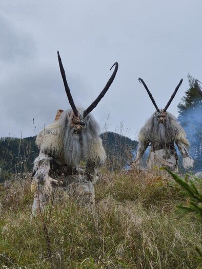 Eine Gruppe von mystischen Kreaturen mit großen Hörnern steht in einer bewaldeten Gegend. Sie tragen Elfengewand und sind umgeben von einer nebligen Atmosphäre. | © Massenburg Teifl