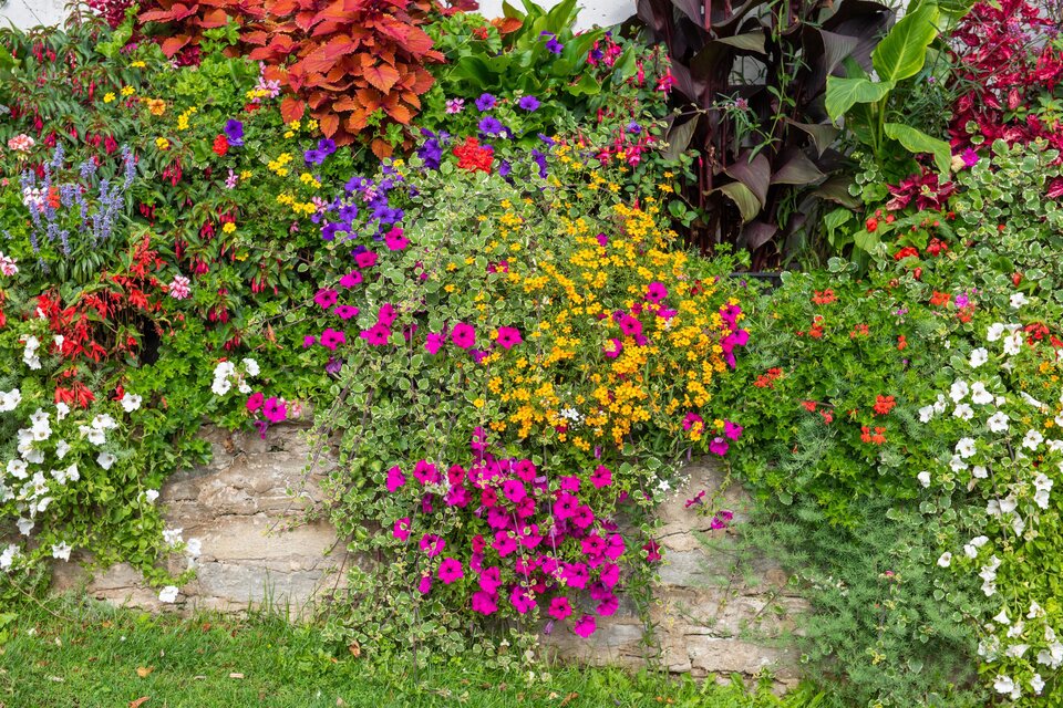 Ein bunter Blumenbeet mit verschiedenen Blumen in lila, orange und weißen Farben. Grüne Pflanzen umgeben das Beet und verleihen dem Garten Leben. | © Helmut Schweighofer