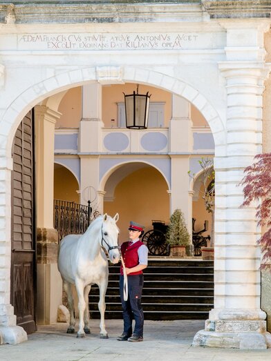 Lipizzaner im Tor von Schloss Piber | © Region Graz-Mias Photoart | © Region Graz-Mias Photoart