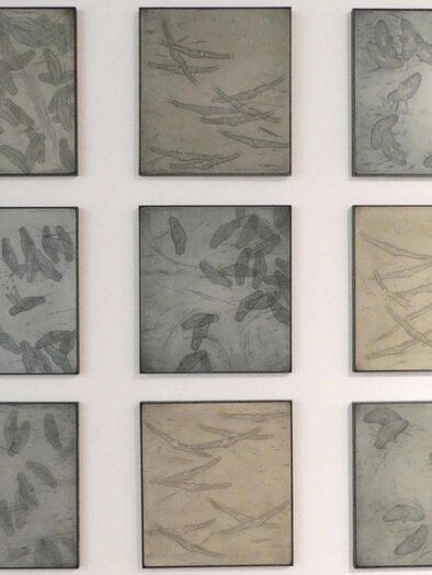 Gerahmte Arbeiten von Nikolaus Lapuch in der Ausstellung „Die Natur im Kleinen“ im Kunsthaus Köflach. | © Nikolaus Lapuch