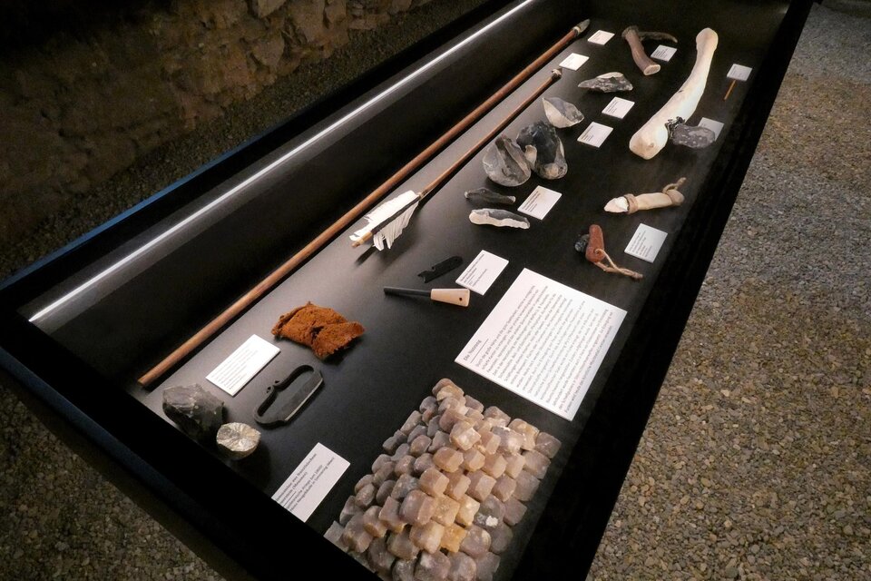 Vitrine mit archäologischen Werkzeugen, Knochen und Steinen in der Ausstellung SteinZeit im Stift Rein in der Steiermark. | © Stift Rein