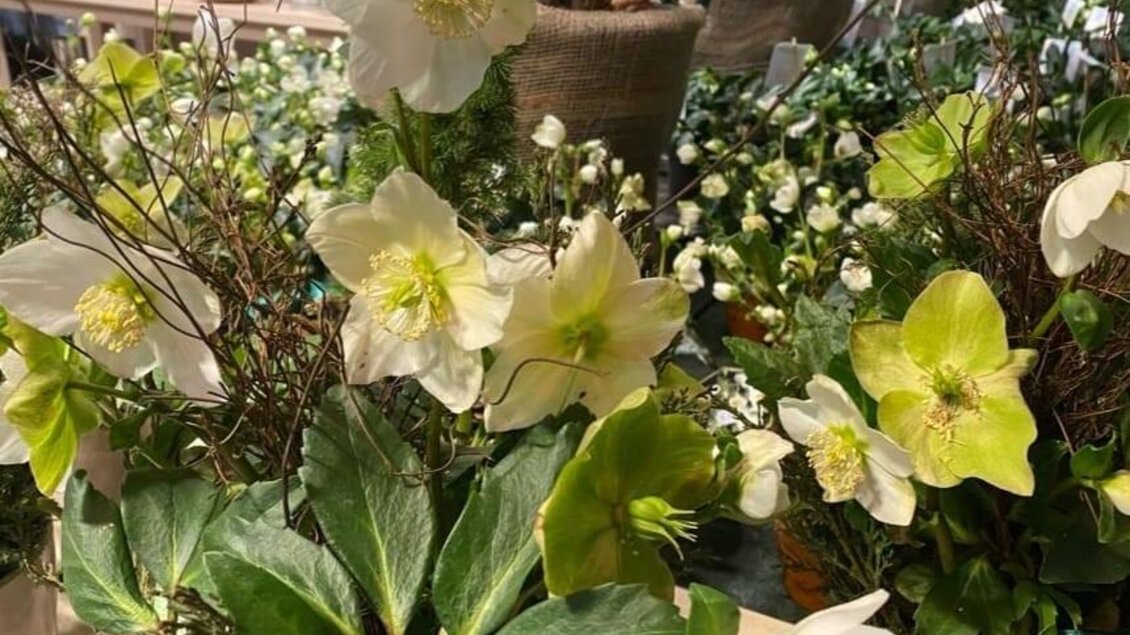 Eine schöne Auswahl an weißen und grünen Blumen in einem floralen Arrangement. Die Pflanzen sind lebendig und verleihen dem Raum eine frische Atmosphäre. | © Blumenhof Bender