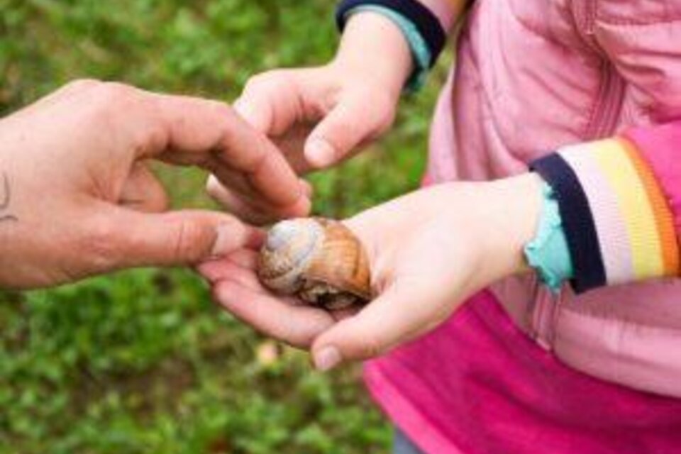 Ein Kind hält eine große Schnecke in den Händen. Eine Hand berührt sanft die Schnecke. | © Rebecca Steinbauer